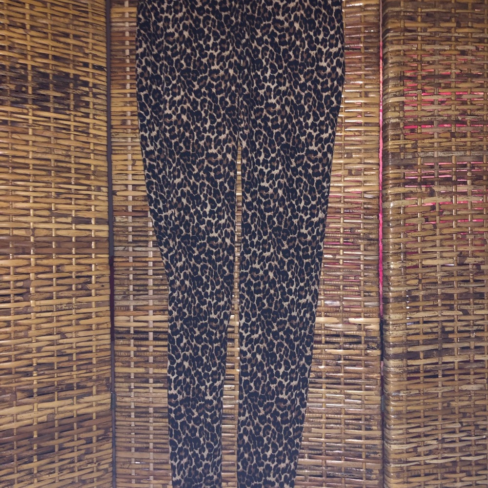 Lildy, Small, cheetah print